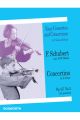 Concertino: A Minor: Op137 No.2:  Violin