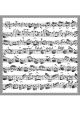 Glasses Cleaner: Sheet Music White Design