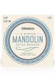 D'Addario EJ62 8 String Mandolin Loop End Set Light 10-34