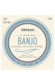 D'Addario EJ60 5 String Banjo Loop End Set Light 9-20