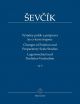 Changes Of Position & Preparatory Scales Studies Op8: Violin (Barenreiter)