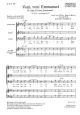 Veni, Veni (O Come, O Come, Emmanuel) Mixed Choir (SAB) A Cappella - Latin - English