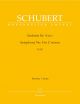 Symphony No.4 in C minor (D.417) (Urtext). : Large Score Paperback: (Barenreiter)