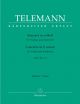 Concerto for Violin in E minor (TWV 51: e3) (Urtext). : Large Score Paperback: (Barenreiter)