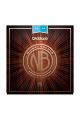 D'Addario Acoustic Guitar Nickel Bronze Light 12-53
