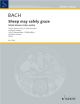 Sheep May Safely Graze (BWV208) 2 Recorders Or Flute & Piano Duet