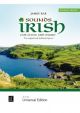 Sounds Irish:  10 Original And Traditional Pieces For Flute & Piano (Rae)