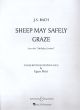 Sheep May Safely Graze: Piano  (B&H)