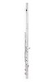 Trevor James Virtuoso Flute Outfit - CS Shaped Lip Plate