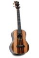 Snail E598 Ebony Tenor Ukulele: Includes Gig Bag