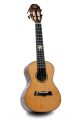 Snail BHC-6C Ebony Concert Ukulele: Includes Gig Bag