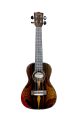 Blackwater Ziricote Concert Ukulele
